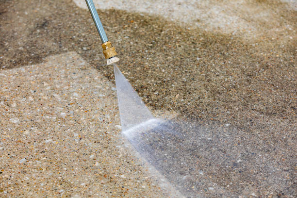 Best Sidewalk and Walkway Cleaning  in French Valley, CA
